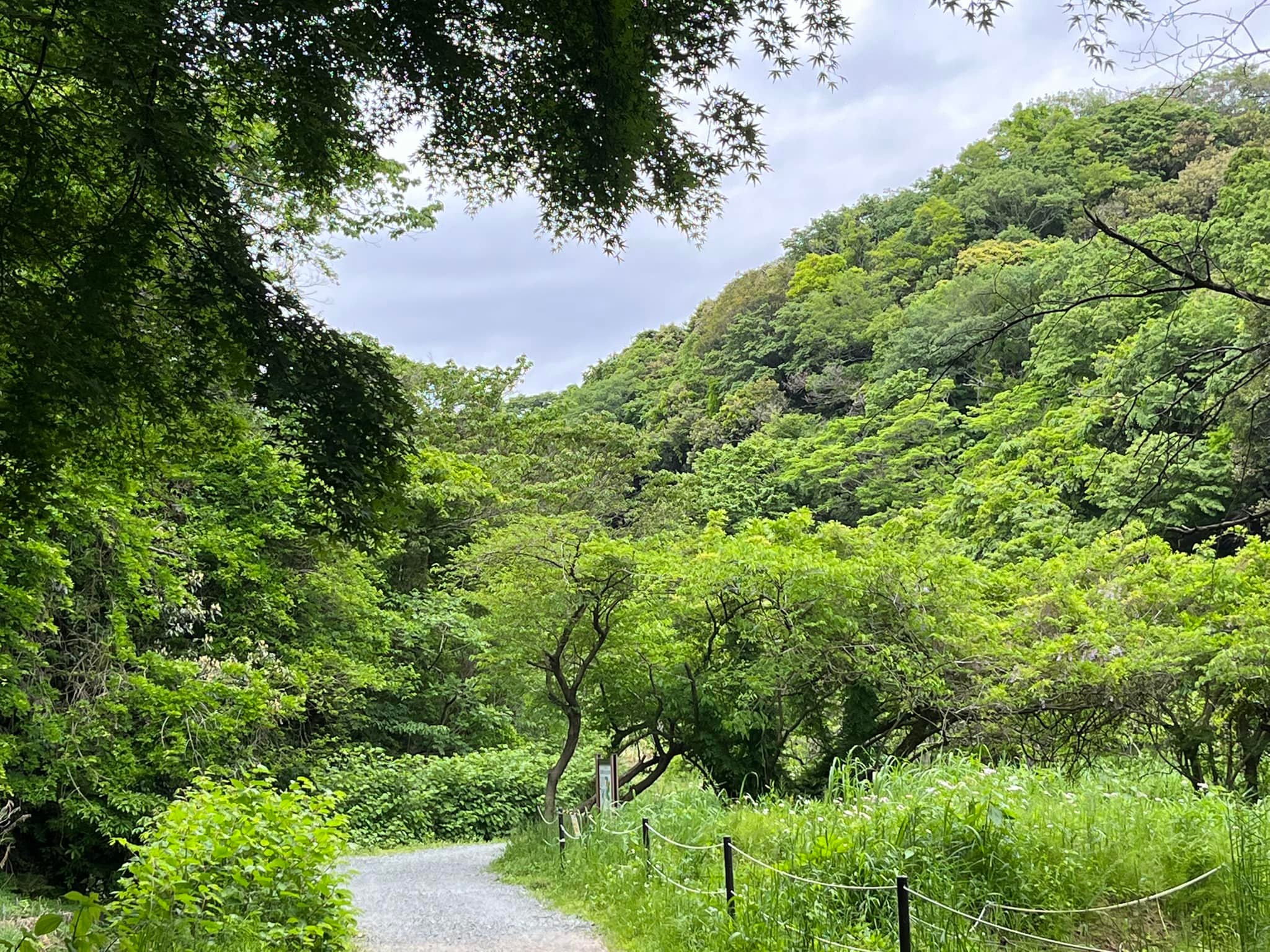 AIケアプラン