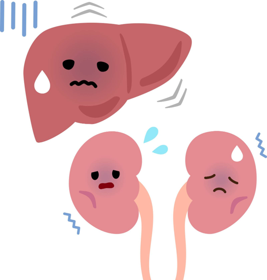 腎臓リハ、肝臓リハ